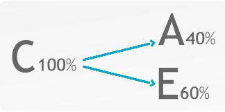 Ejemplo Distribución de Fondos